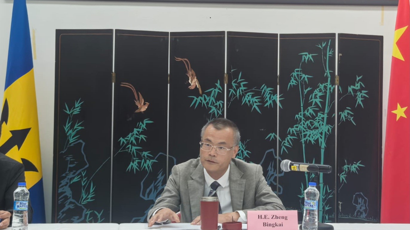 Chinese ambassador ZHENG Bingkai addresses seminar (Photo: Chinese embassy)